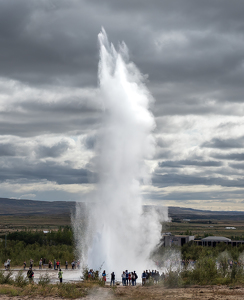 Icelandic Crowd Pleaser - Photo by Bob Ferrante