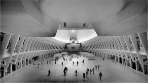 Inside the Occulus - Photo by Eric Lohse