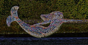 Jumping Mermaid - Photo by Bill Latournes