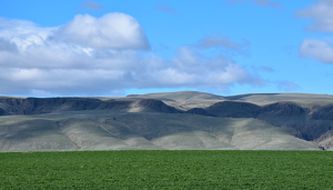Land of Idaho - Photo by Cheryl Picard