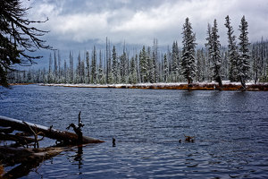 Lewis River Yellowstone NP - Photo by John McGarry