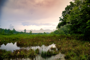 litchfield pond - Photo by John Parisi