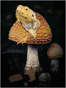 Salon 2nd: Lizard Hatching from a Magic Mushroom by Frank Zaremba