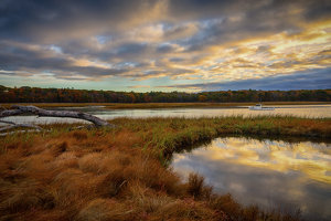Maine Tidal Pool - Photo by Bill Payne