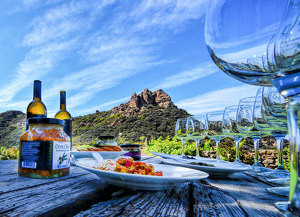 Malibu Wine Safari - Photo by John Straub