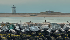 Class A HM: Mist lifting at Provincetown Light by Richard Provost