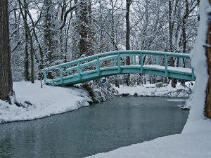 Monet Bridge - Photo by Owen Small