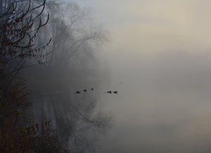 Class B 1st: morning fog by Ginny Thibodeau