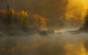 Morning foggy sunrise over Vermont pond. by Richard Provost