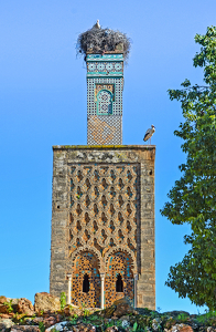 Class A HM: Moroccan Minaret And Stork Nest by Lou Norton
