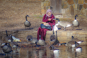 Mother Goose - Photo by Mark Tegtmeier