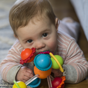 Class B 2nd: My Teething Toy by Owen Small
