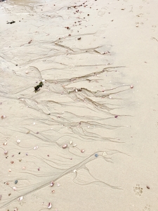 nature artwork in the sand - Photo by Wendy Rosenberg