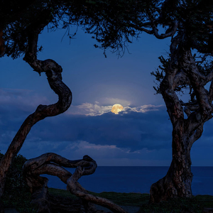Predawn Pacific Moon - Photo by John Straub
