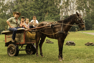 Proud Cuban farm family - Photo by Nancy Schumann