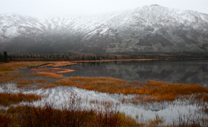 Class A HM: Reflections on an Arctic Pond by Barbara Steele