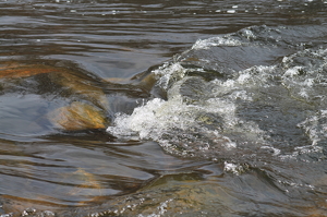 River in Motion - Photo by James Haney