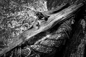 Rock, Wood, Rope - Photo by Peter Rossato