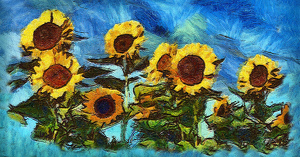 Salon HM: Rosedale Sunflowers by Bruce Metzger