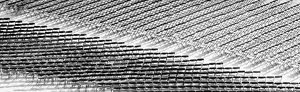 Rows upon rows upon rows - Photo by John Parisi