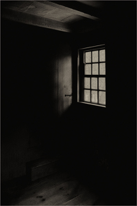 Shadow + Light - Photo by Alene Galin