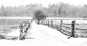 Snowy Field--Old Sturbridge - Photo by Mark Tegtmeier
