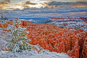 Snowy Morning at Bryce Canyon - Photo by John McGarry