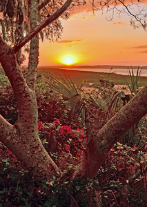 South Carolina Marsh At Sunset - Photo by Louis Arthur Norton