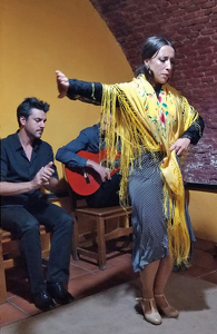 Spanish Flamenco Dancer - Photo by Louis Arthur Norton