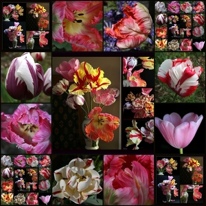 Class A HM: Spring Garden Collage by Barbara Steele