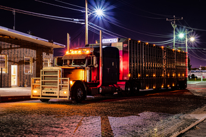 Stockyard Delivery - Photo by Peter Rossato