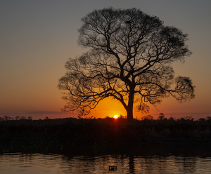Sunset - Brazil - Photo by Susan Case