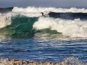 Surfer Sandwich - Photo by David McCary