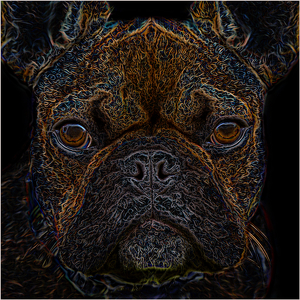 Salon 2nd: The Atomic Dog by Frank Zaremba, MNEC