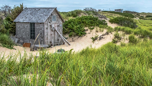 The Dune Shack - Photo by Libby Lord