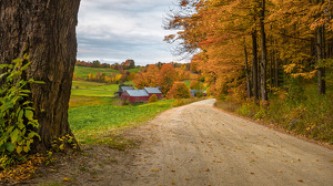The Road to Jenne Farm - Photo by Libby Lord
