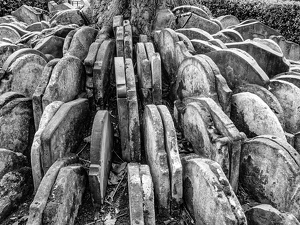 Thomas Hardy Tombstones - Photo by John Clancy