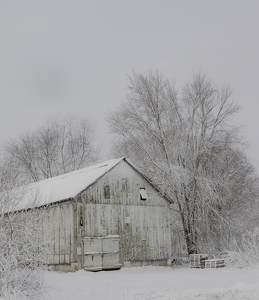 Class A 2nd: Tobacco barn after a snowstorm by Nancy Schumann