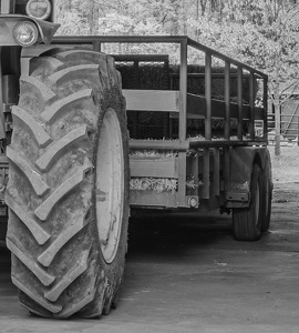 Tractor Tire - Photo by Pamela Carter