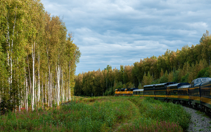 Train to Denali - Photo by Linda Fickinger