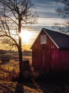Tulmeadow Farm, Sunrise - Photo by Kristin Long