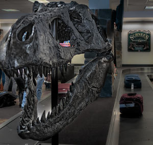 Tyrannosaurus Rex at Baggage Claim - Photo by David McCary