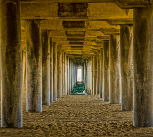 Under the Boardwalk - Photo by Jim Patrina