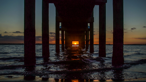 Under the Pier - Photo by Jim Patrina