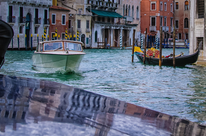 Venice Tailgater - Photo by Bill Payne