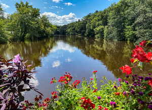 View From the Flower Bridge - Photo by Jim Patrina