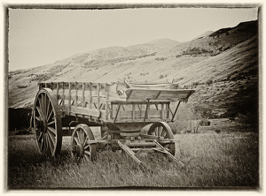 Wagon In A Field In Hill Country - Photo by Louis Arthur Norton
