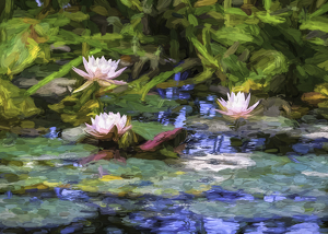 Water Lily Impressions - Photo by Libby Lord
