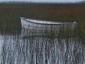 White Boat in the Grass - Photo by Bill Latournes