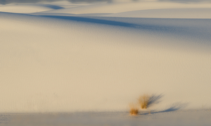 White Sands Shadows on the Dunes - Photo by Danielle D'Ermo